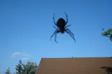 2011 09 02 061.webp