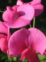 IMG_6821.webp
