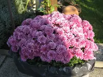 IMG_6817.webp