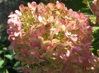 IMG_6787.webp