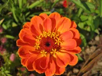 IMG_6792.webp
