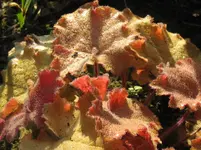 IMG_7227_1067x800.webp