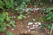 DSC06799.webp
