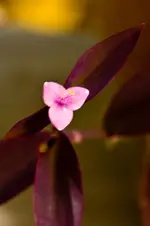 26.9.11 (1 von 1).webp