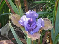 IMG_7233_1067x800.webp