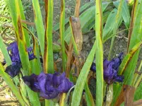 IMG_7237_1067x800.webp
