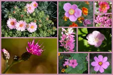 Herbst20.webp