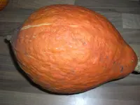 CIMG7523.webp