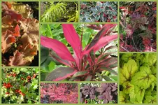Herbst21.webp