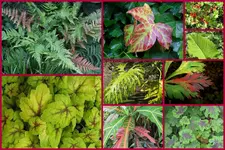 Herbst22.webp
