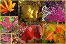 Herbst23.webp