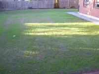 DSCF5013.webp