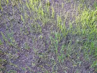 DSCF5014.webp