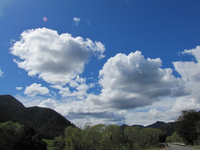 tn_IMG_6579 v.webp