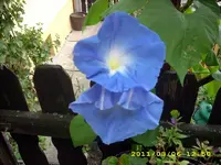 JD500625.webp