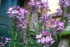 2011 09 29 047.webp