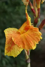 DSC09968 (2).webp