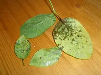 PA010974.webp