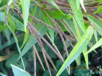 DSCN0922.webp