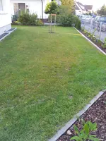 2011-10-02 08.31.18.webp