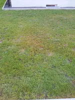2011-10-02 08.31.30.webp