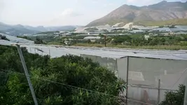 P1110338.webp