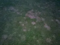 2011-09-30_19-23-37_201.webp