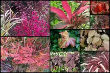Herbst24.webp