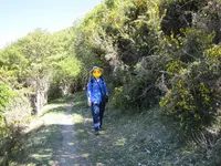 IMG_6631bt10.JPG