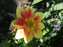DSCF6176.webp