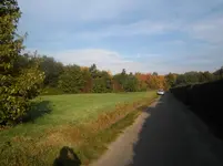 PA030001.webp