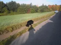 PA030002.webp