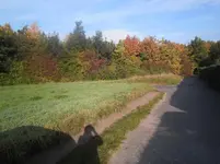 PA030003.webp