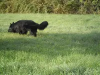 PA030004.webp