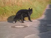 PA030006.webp