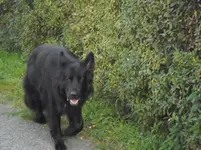 PA030007.webp
