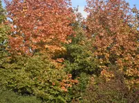 PA030008.webp