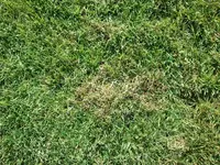 2011-10-03 14.38.01 (Mittel).webp