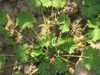 IMG_7078.webp