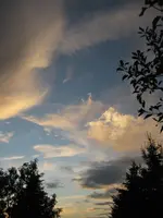 10a 037.webp
