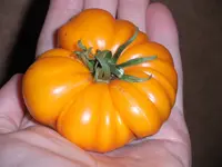 nutdef_22.webp