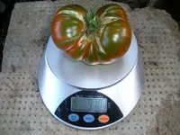 nutdef_23.webp