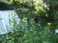 BILD0955.webp