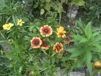 BILD0993.webp