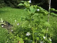 BILD0905.webp