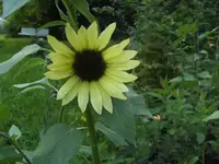 BILD0990.webp