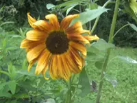 BILD0991.webp