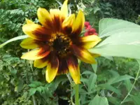 BILD1002.webp