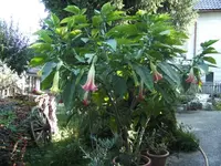 BILD1019.webp