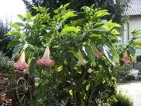 BILD1020.webp